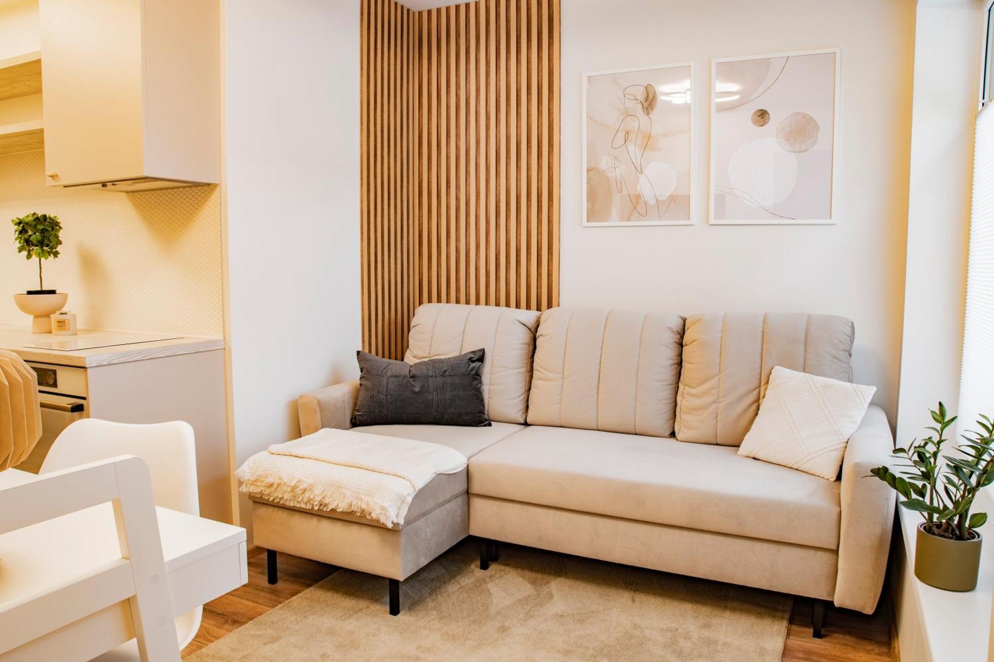 Express Premium Apartments - City Center 塔尔图 外观 照片