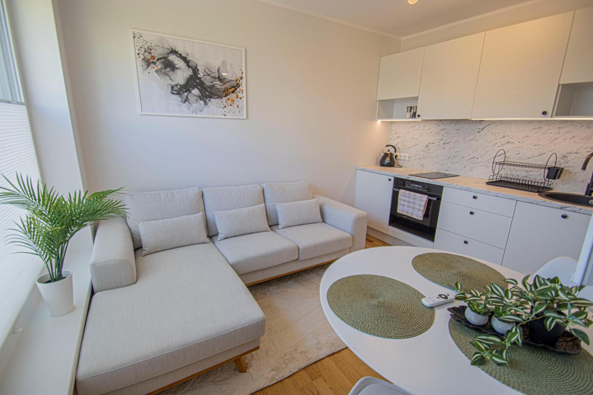 Express Premium Apartments - City Center 塔尔图 外观 照片